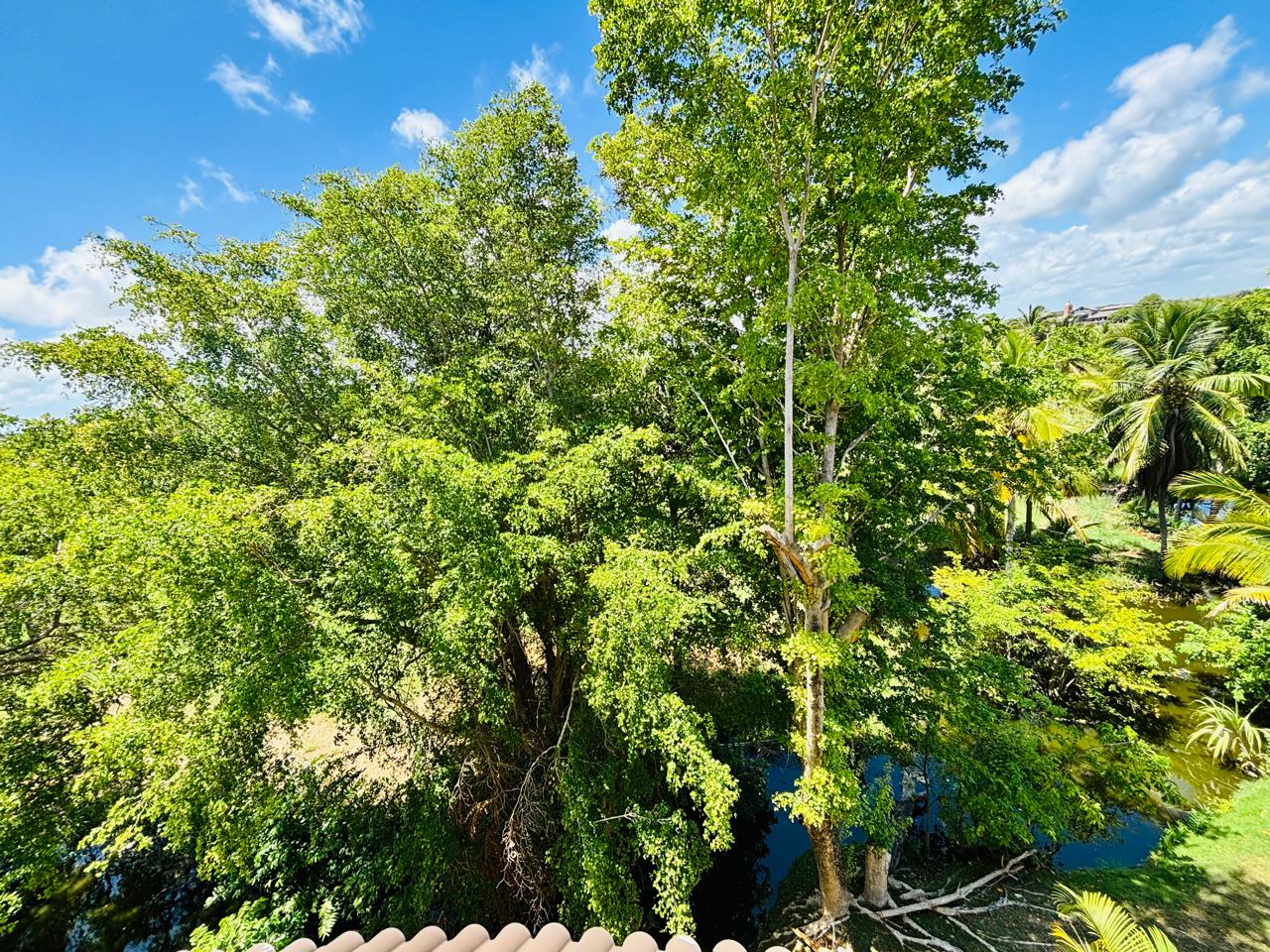 Property photo 49