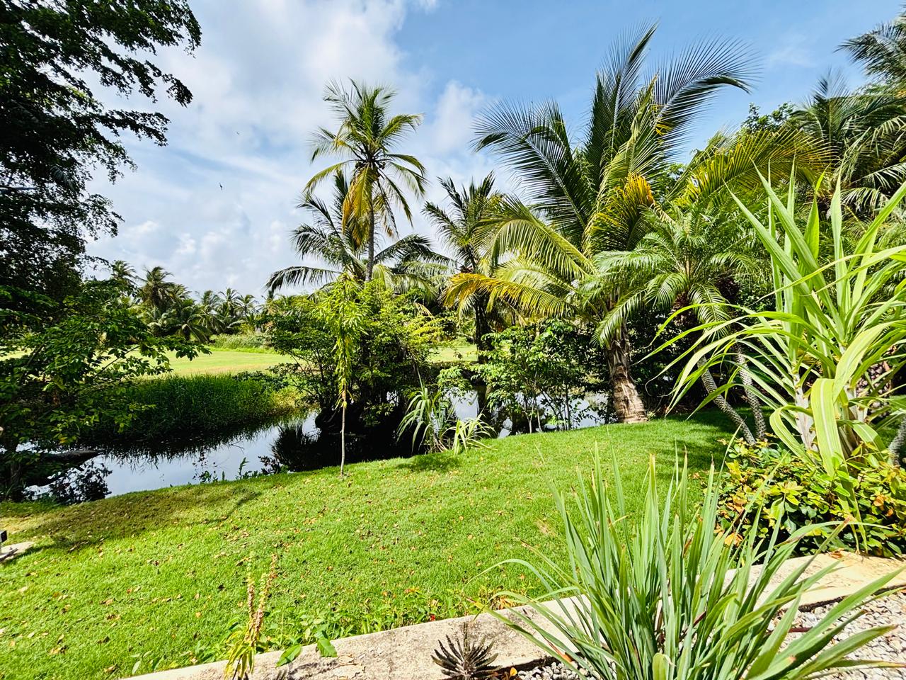Property photo 42