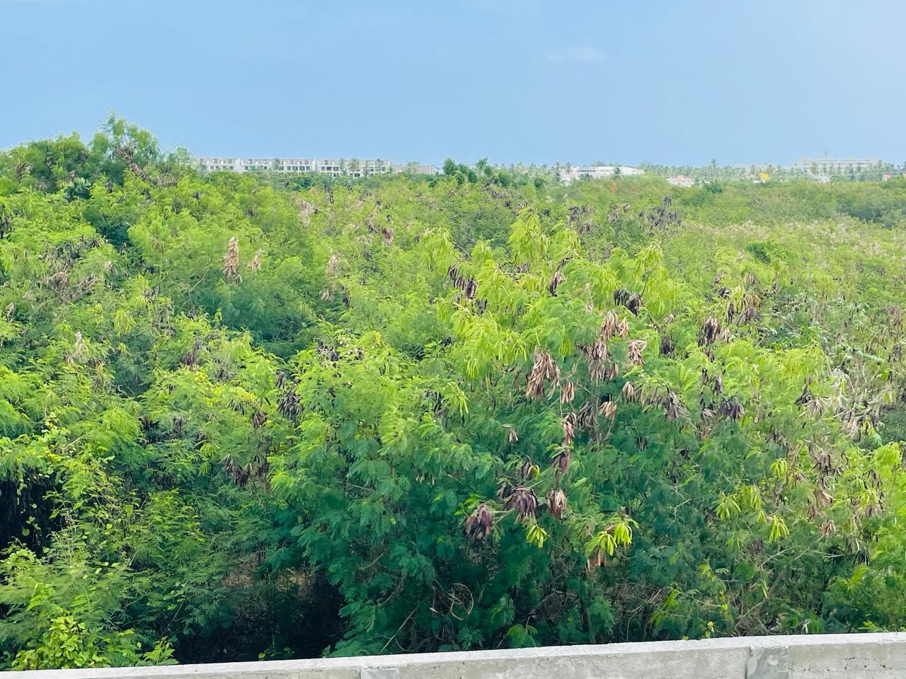 Property photo 24