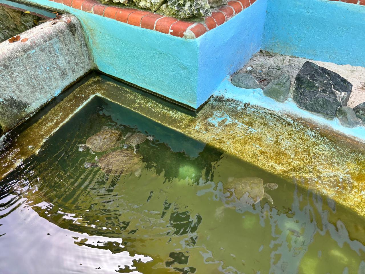 Property photo 23