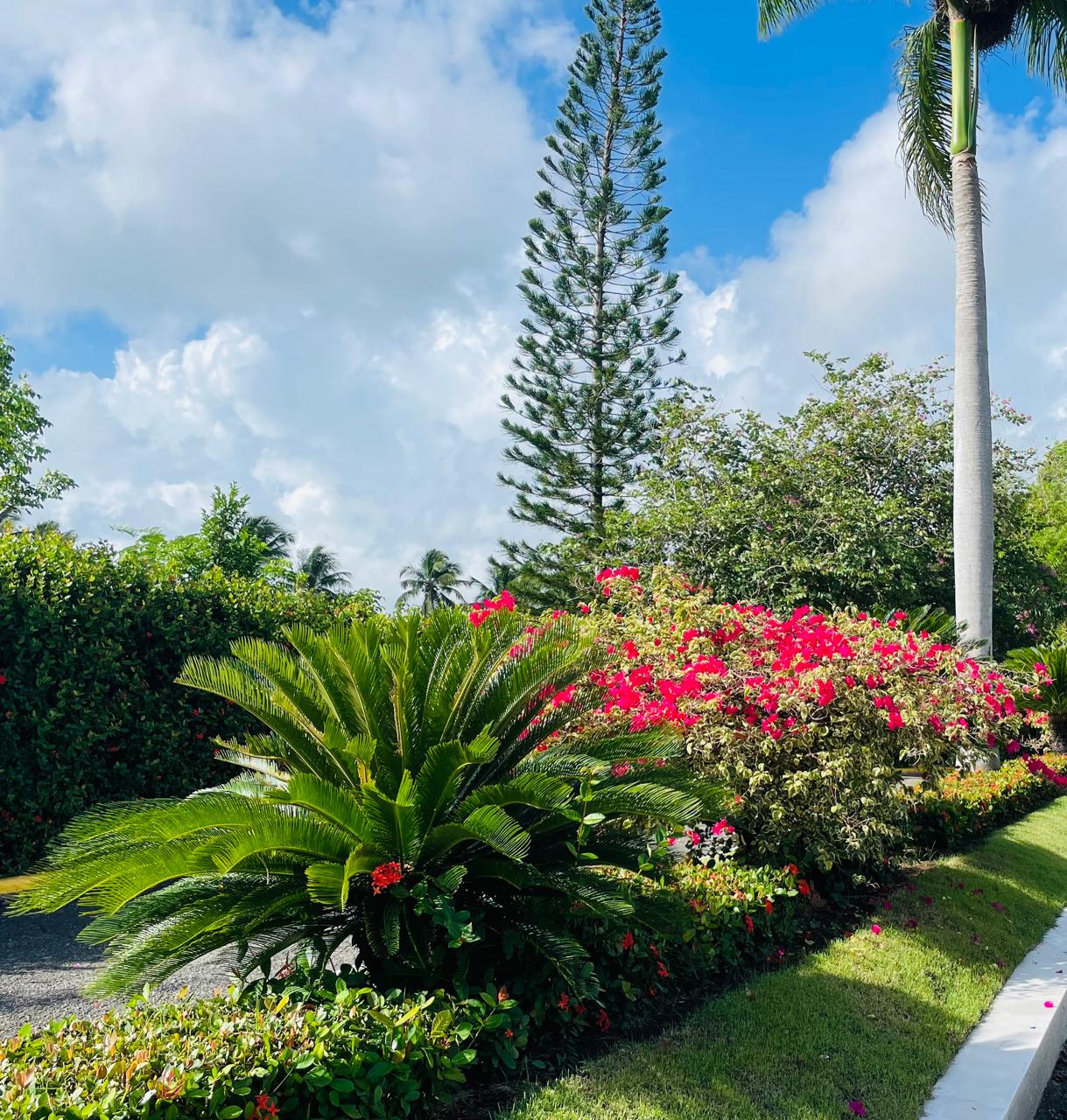 Property photo 21