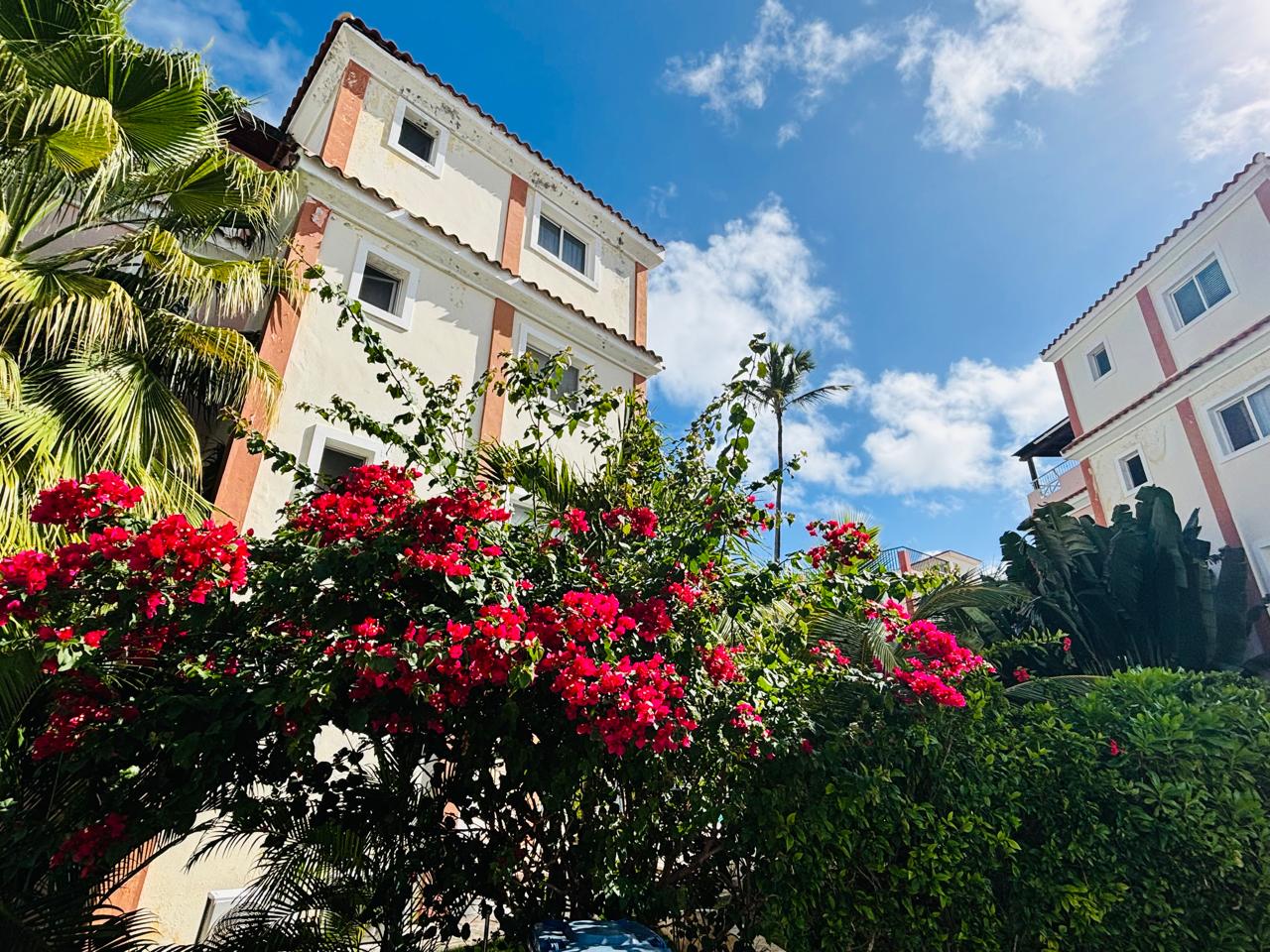 Steps to Beach, Steps to Everything - 1 Bed in Los Corales