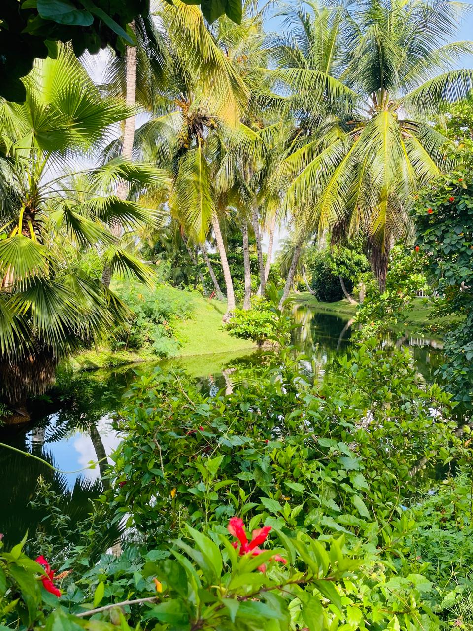 Property photo 47