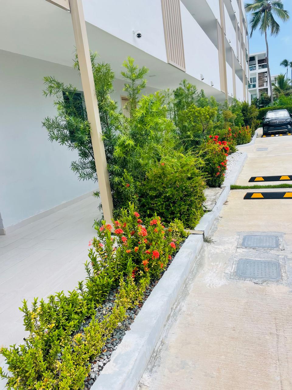 Property photo 40